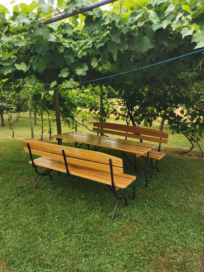Urlaub Fuer Die Seele - Erholung Pur In Der Natur - Ferienhaus Mit Infrarotkabine & Relax-Raum Rucmanci Eksteriør billede